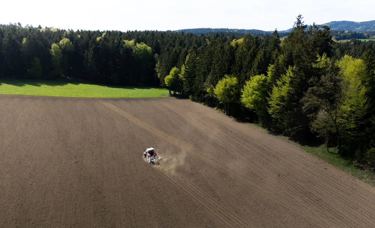 Traktor zieht eine Staubfahne über den Schlag
